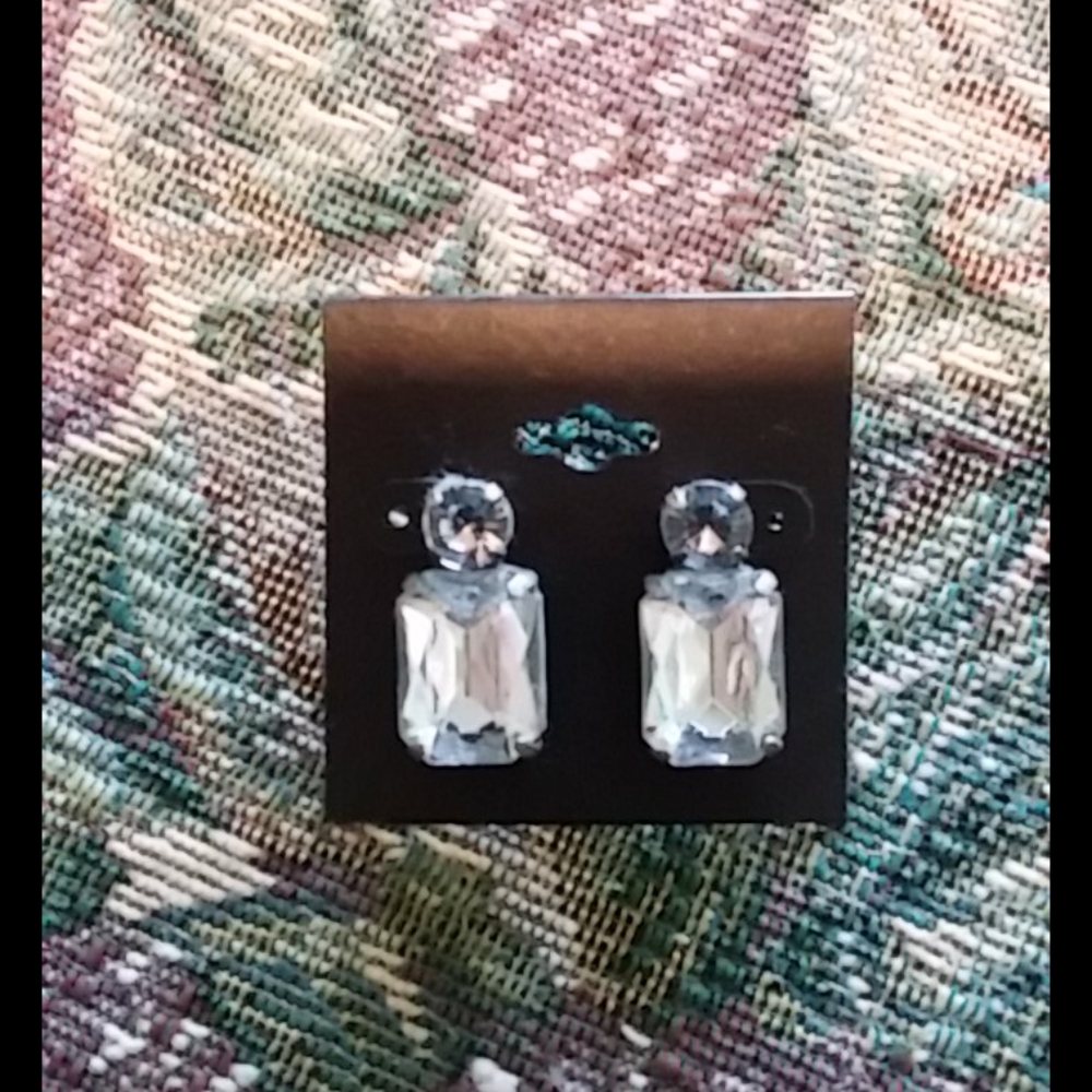 NWT Faceted Silver Tone Earrings